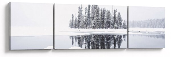 Obraz - Bylo bílo (170x50 cm)