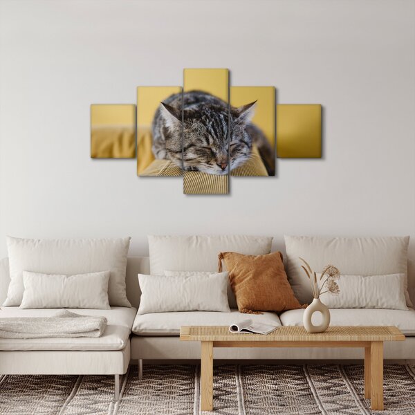 Obraz kočky na pohovce (125x70 cm)