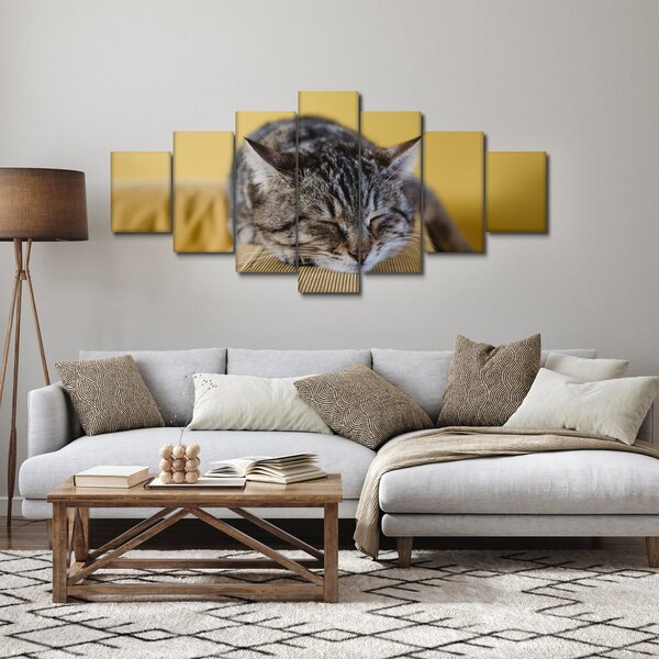 Obraz kočky na pohovce (210x100 cm)