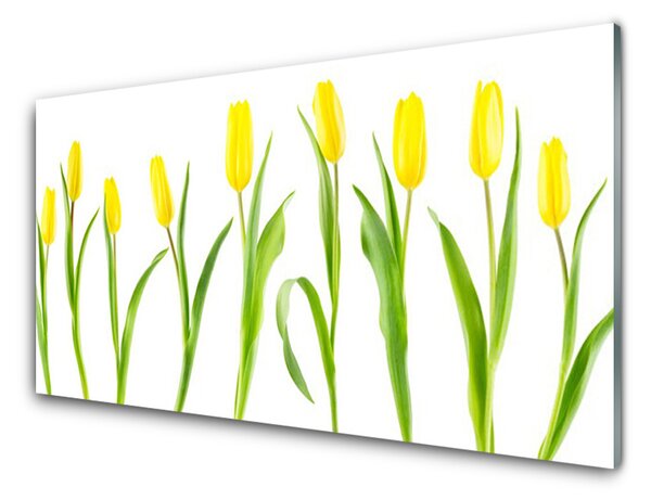 Skleněné obklady do kuchyně Žluté Tulipány Květiny 140x70 cm
