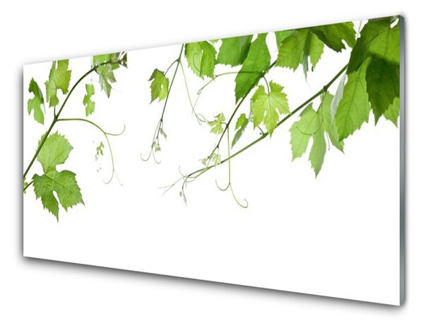 Skleněné obklady do kuchyně Větve Listy Příroda Květiny 125x50 cm