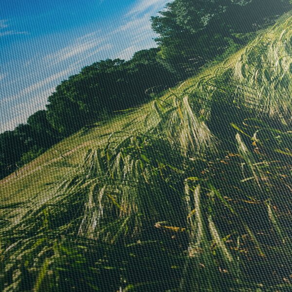 Obraz louky a lesa (210x100 cm)