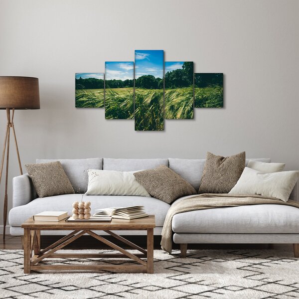 Obraz louky a lesa (125x70 cm)