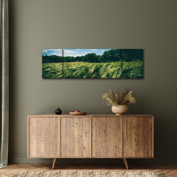 Obraz louky a lesa (170x50 cm)