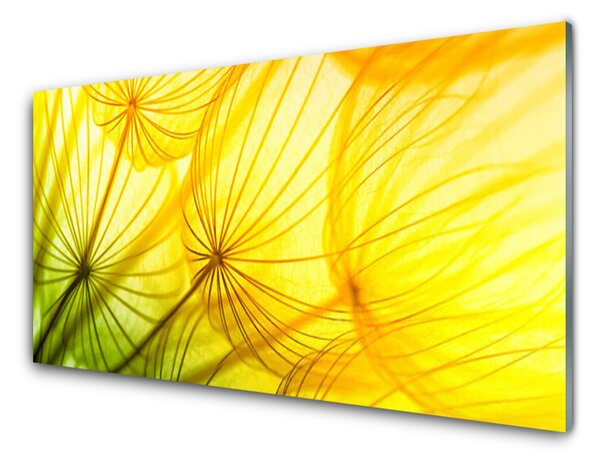 Skleněné obklady do kuchyně Pampelišky Květiny Příroda 140x70 cm