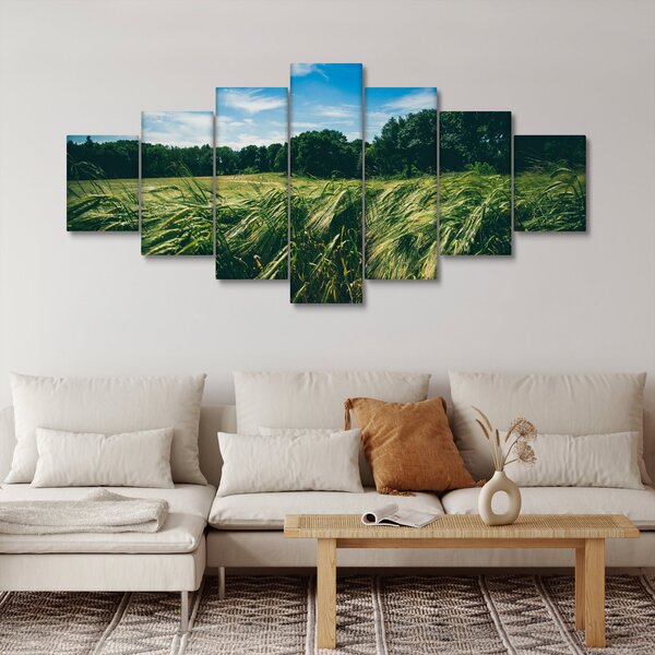 Obraz louky a lesa (210x100 cm)