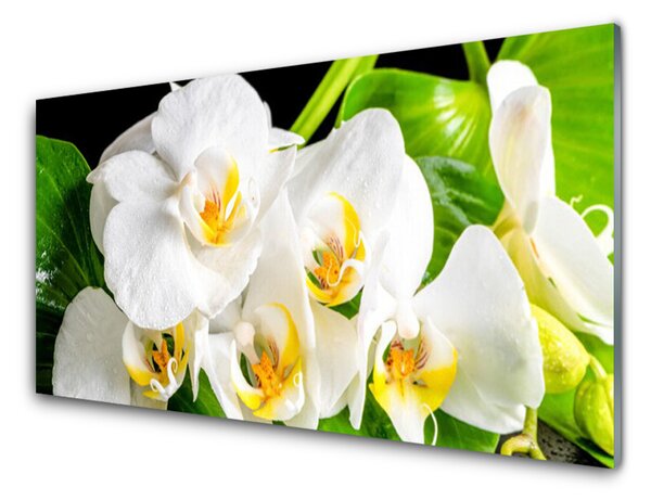 Skleněné obklady do kuchyně Orchidej Květiny Příroda 125x50 cm