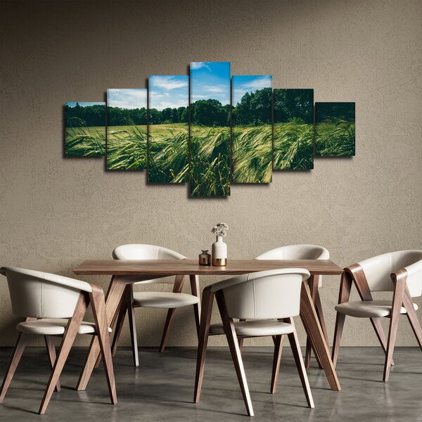 Obraz louky a lesa (210x100 cm)