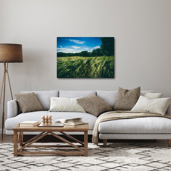 Obraz louky a lesa (70x50 cm)