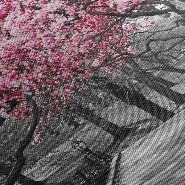 Obraz stromů Magnolíie (170x50 cm)