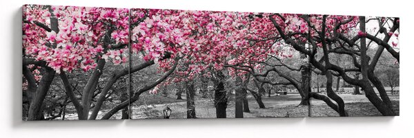 Obraz stromů Magnolíie (170x50 cm)
