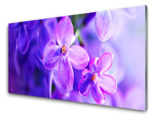 Skleněné obklady do kuchyně Fialové Květiny Příroda 100x50 cm
