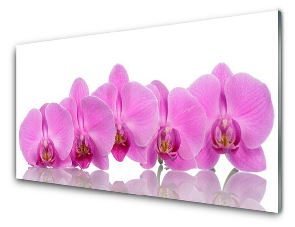Skleněné obklady do kuchyně Růžová Orchidej Květiny 140x70 cm