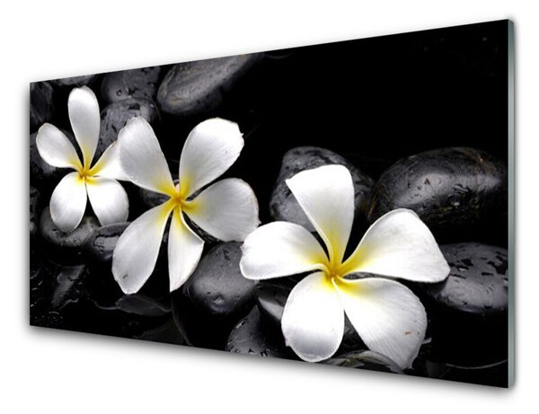 Kuchyňský skleněný panel Květ Kameny Rostlina 100x50 cm