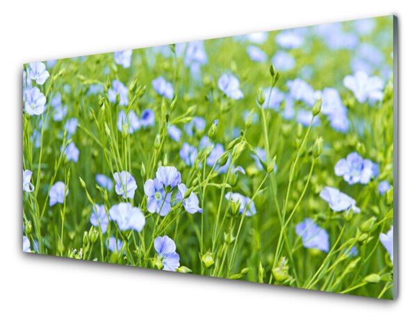 Kuchyňský skleněný panel Květiny Tráva Rostlina Příroda 120x60 cm