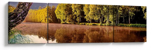 Obraz - Za řekou (170x50 cm)