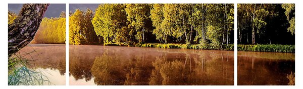 Obraz - Za řekou (170x50 cm)