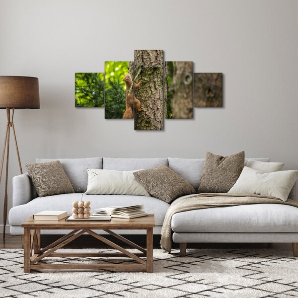 Obraz - Veverka (125x70 cm)