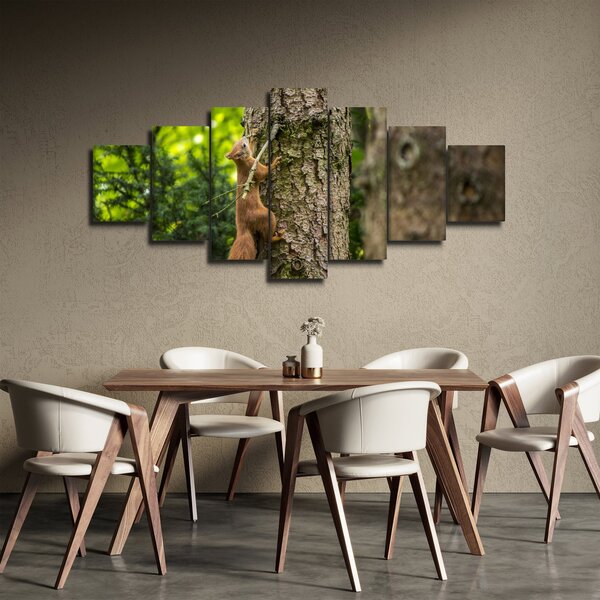 Obraz - Veverka (210x100 cm)