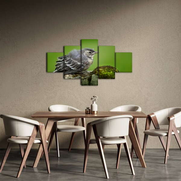 Obraz - Lejsek (125x70 cm)