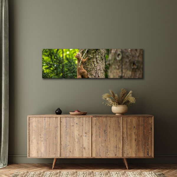 Obraz - Veverka (170x50 cm)