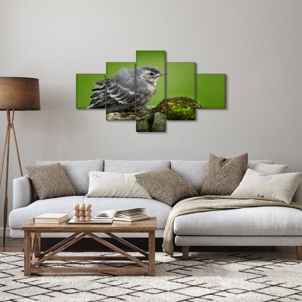 Obraz - Lejsek (125x70 cm)