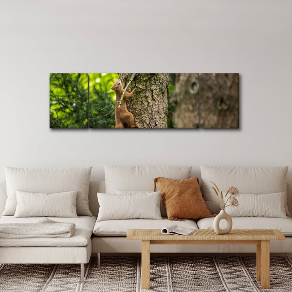 Obraz - Veverka (170x50 cm)