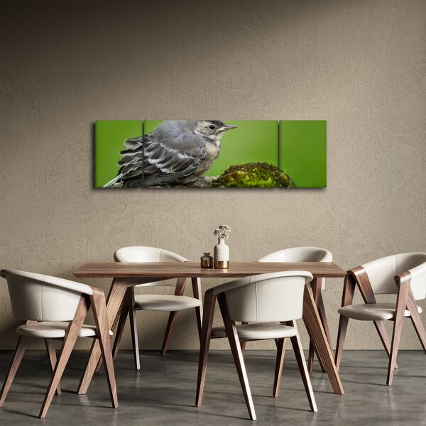 Obraz - Lejsek (170x50 cm)