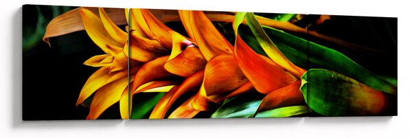 Obraz oranžové kytice (170x50 cm)