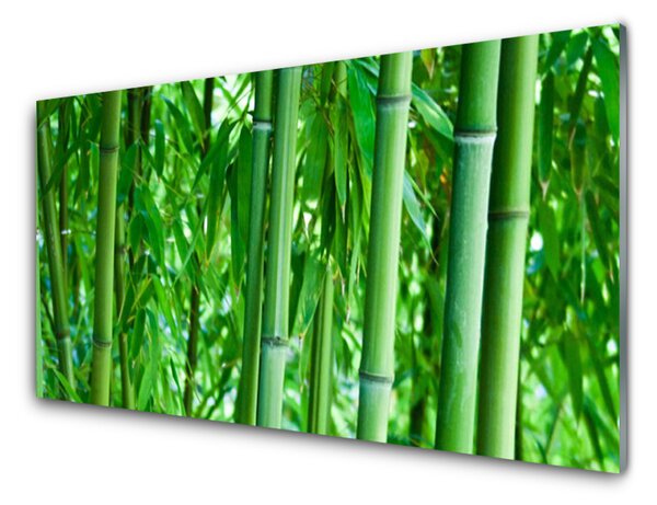 Kuchyňský skleněný panel Bambus Stonek Rostlina 100x50 cm
