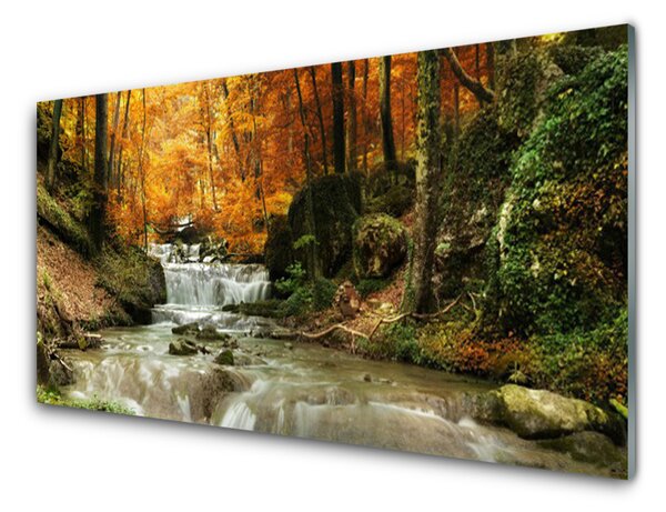 Plexisklo-obraz Vodopád Les Příroda 140x70 cm