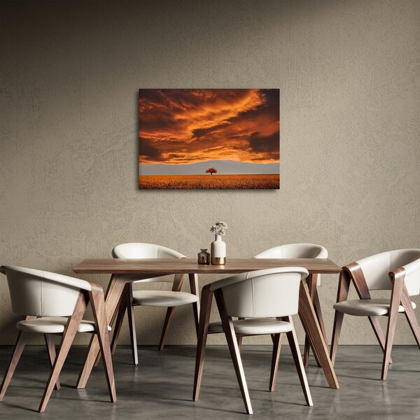 Obraz mračen (70x50 cm)