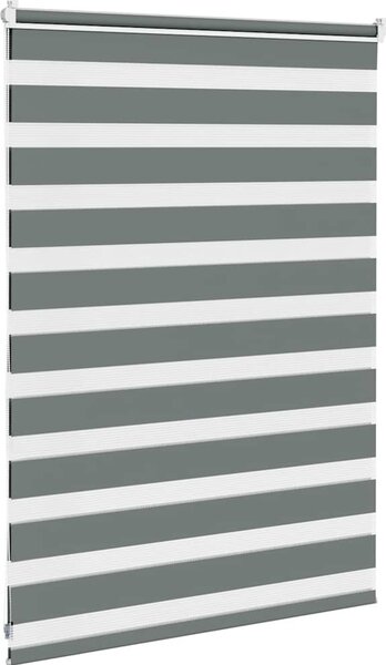 VidaXL Zebra roleta polyester [4014105] Barva: světle šedá, Velikost: 135 x 150 cm
