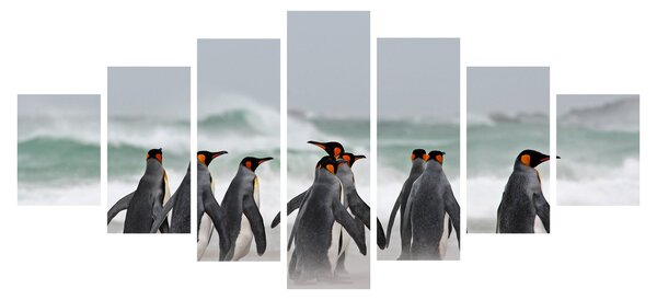 Obraz tučňáků u oceánu (210x100 cm)