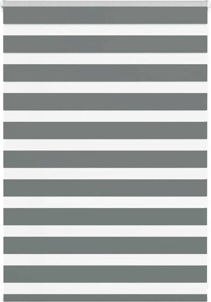 VidaXL Zebra roleta polyester [4014105] Barva: světle šedá, Velikost: 135 x 150 cm