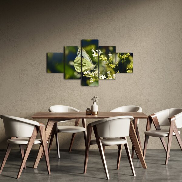 Obraz motýla (125x70 cm)