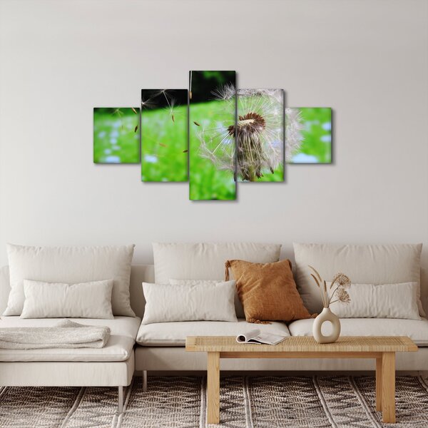 Obraz pampelišky (125x70 cm)