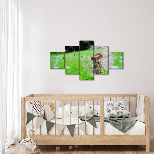 Obraz pampelišky (125x70 cm)