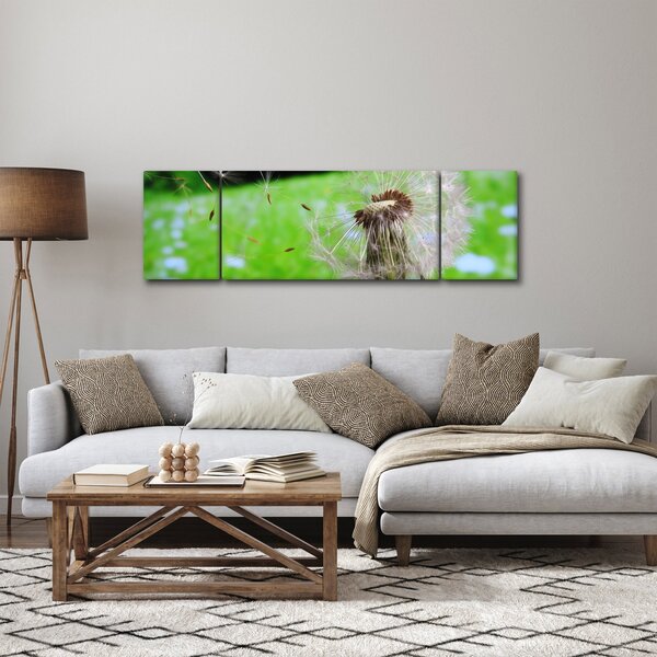 Obraz pampelišky (170x50 cm)