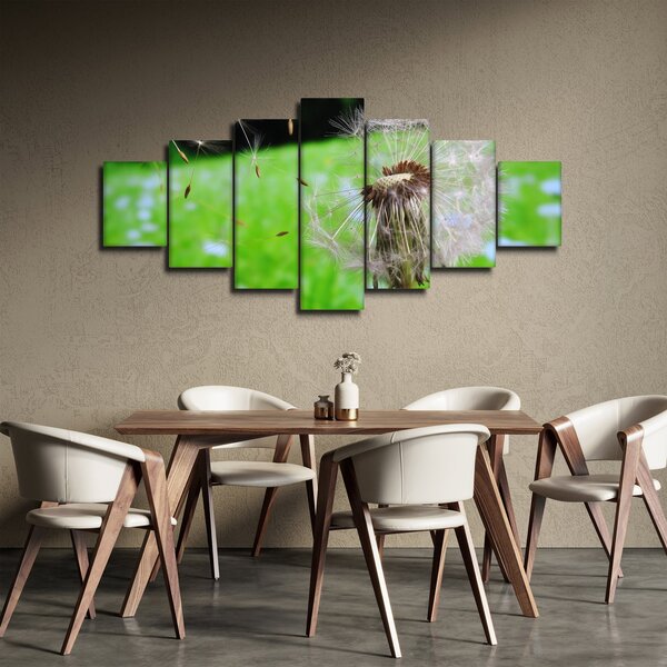 Obraz pampelišky (210x100 cm)