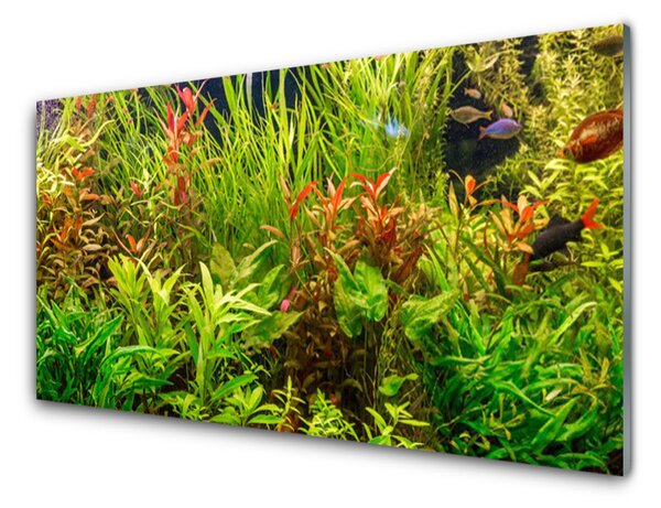 Skleněné obklady do kuchyně Akvárium Rybičky Rostliny 120x60 cm