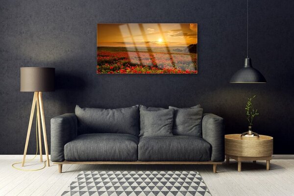 Obraz na skle Pole Máky Západ Slunce Louka 100x50 cm 2 Přívěsky