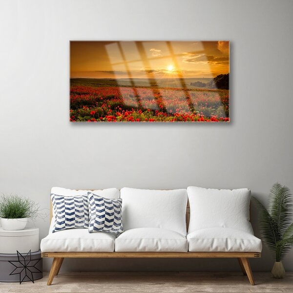 Obraz na skle Pole Máky Západ Slunce Louka 100x50 cm 2 Přívěsky