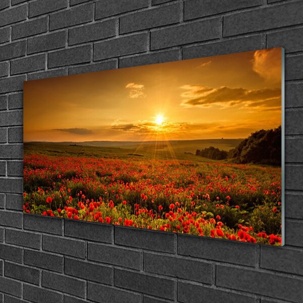 Obraz na skle Pole Máky Západ Slunce Louka 100x50 cm 2 Přívěsky