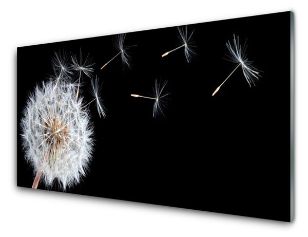 Obraz na skle Pampeliška Květiny Příroda 100x50 cm