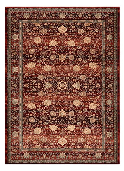 Koberec KASHQAI 4362 300 ornament, bordó / černý