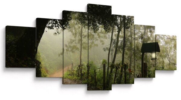 Obraz ranní mlhy (210x100 cm)