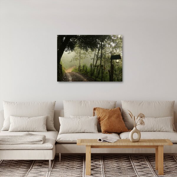Obraz ranní mlhy (70x50 cm)