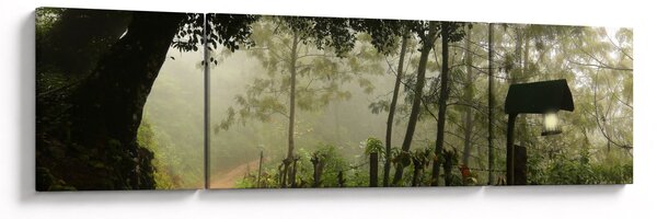 Obraz ranní mlhy (170x50 cm)
