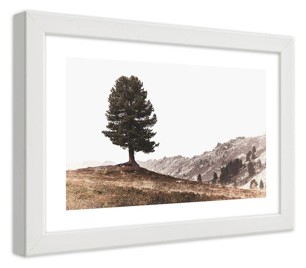 Gario Plakát Strom na kopci Barva rámu: Bílá, Velikost: 100 x 70 cm